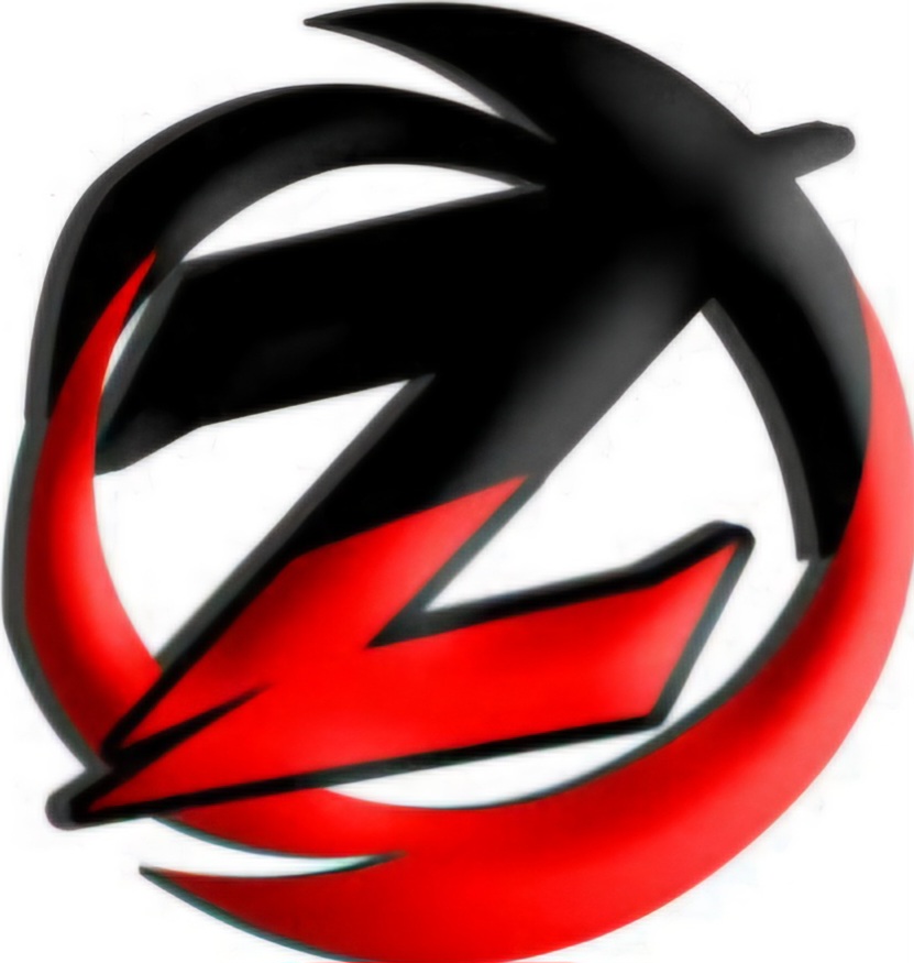 Zing Network Mirzapur-logo
